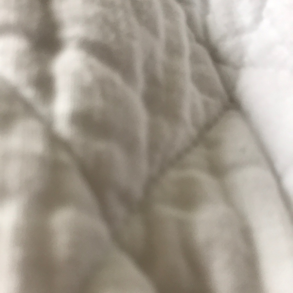 Quilt reserved